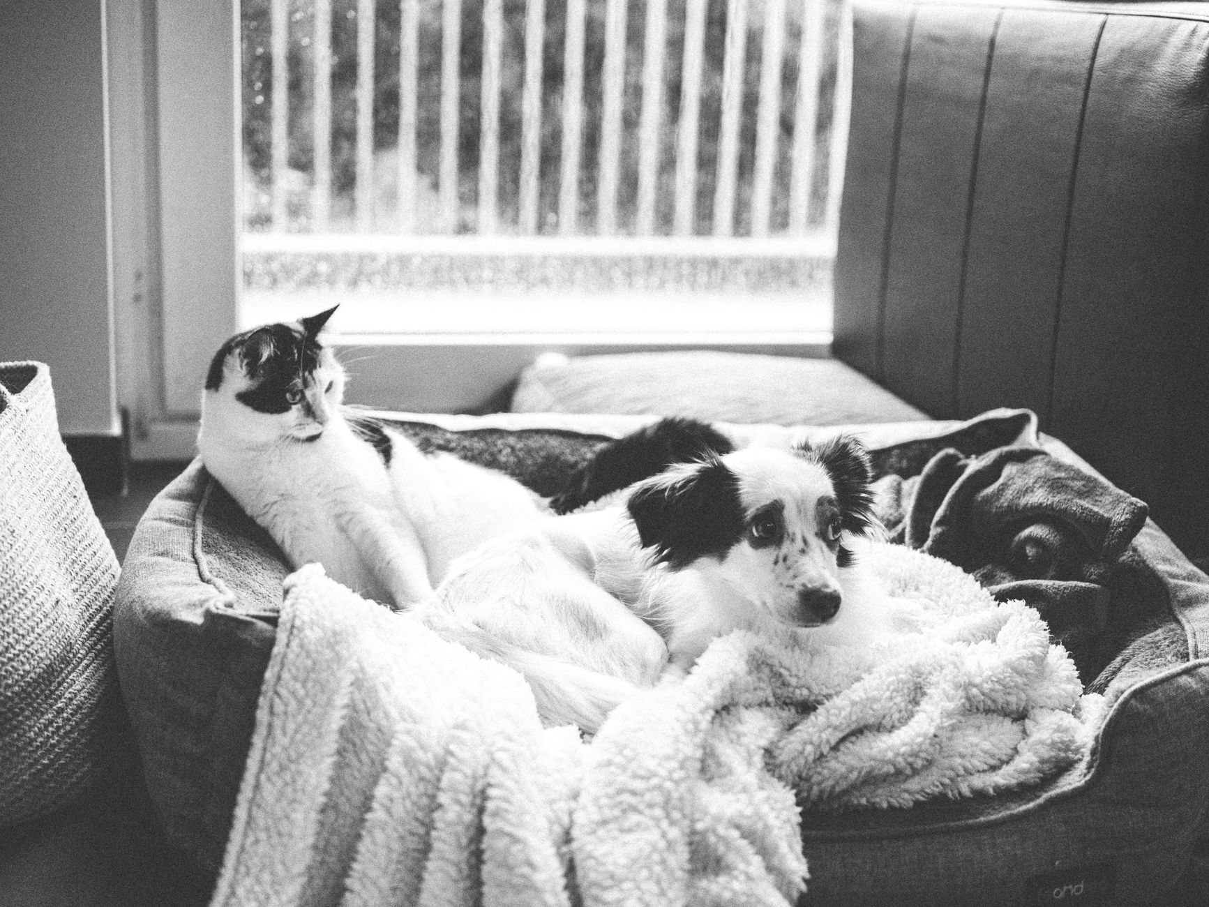 Settled and at ease